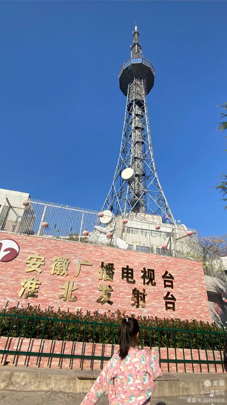 微风拂过百合,‍